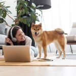 Common Household Poisons for Pets and Where They Hide