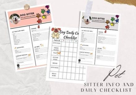 Daily Checklist for a Healthy Dog or Cat Food, Water, Exercise, and Rest