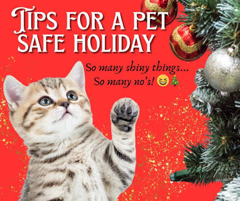 Holiday Pet Safety Checklist for Visitors, Decorations, and Toxic Treats