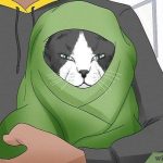 How to Keep Pets Safe During Power Outages and Severe Weather
