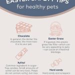 Seasonal Pet Hazards — The Complete Guide