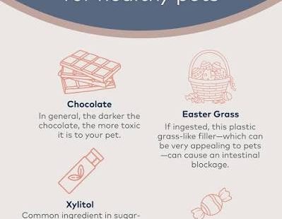 Seasonal Pet Hazards — The Complete Guide