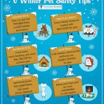 Winter Pet Safety Tips for Cold Weather, Ice, and Salt Exposure