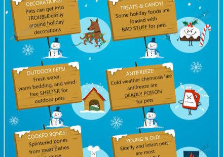 Winter Pet Safety Tips for Cold Weather, Ice, and Salt Exposure