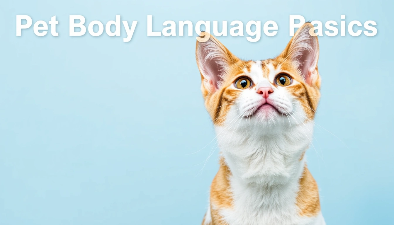 Pet Body Language Basics: Signs Your Dog or Cat Is Stressed, Happy, or Painful