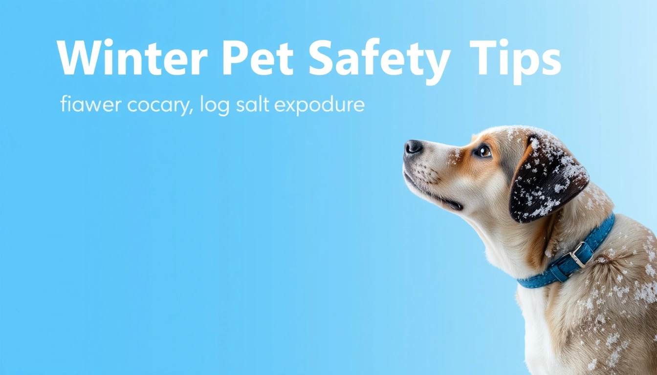 Winter Pet Safety Tips for Cold Weather, Ice, and Salt Exposure
